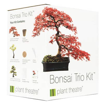 Bonsai Trio Kit